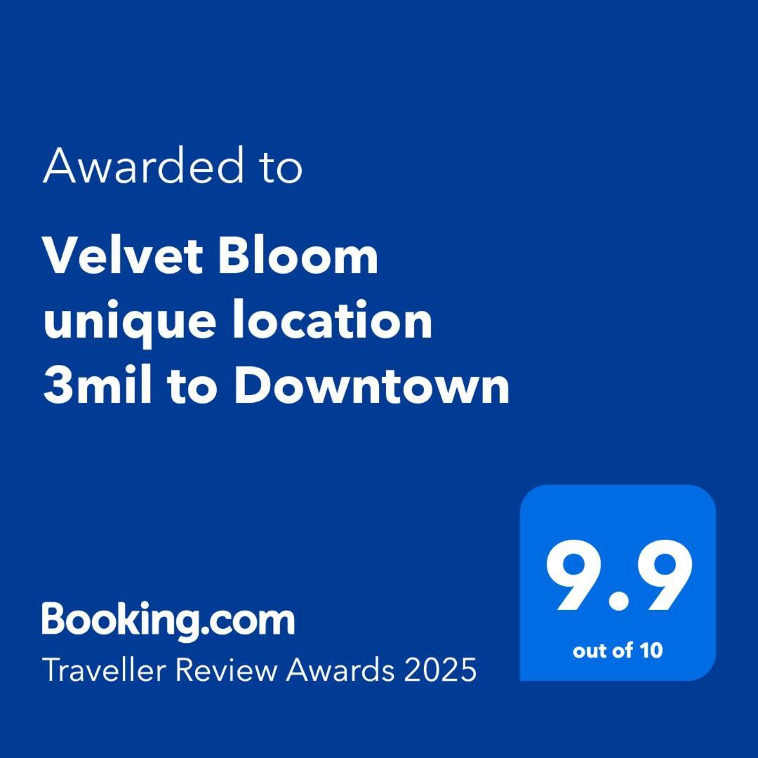 Velvet Bloom Unique Location 3Mil To Downtown Villa North North Naples Eksteriør billede